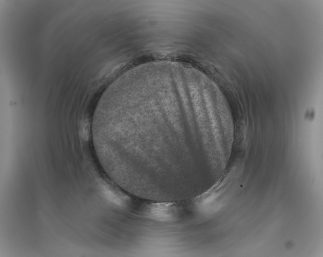 X0000094440090200711291646