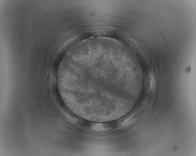 X0000094440091200711291646