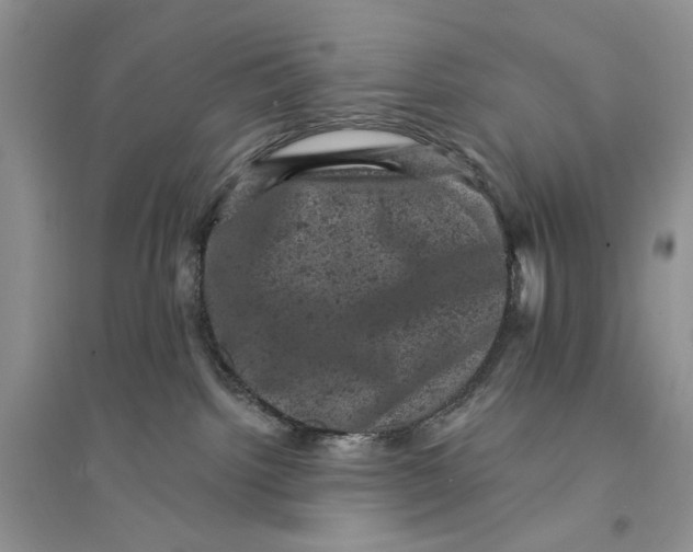 X0000094440092200711291646