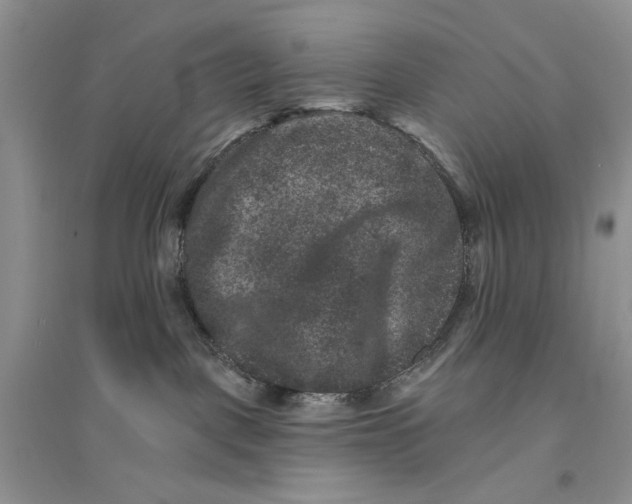 X0000094440093200711291646