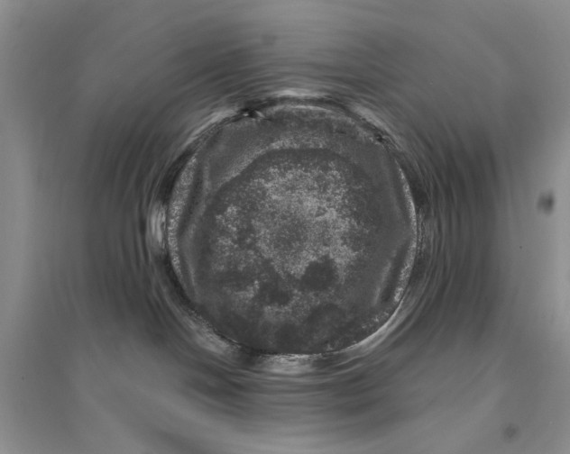 X0000094440094200711291646