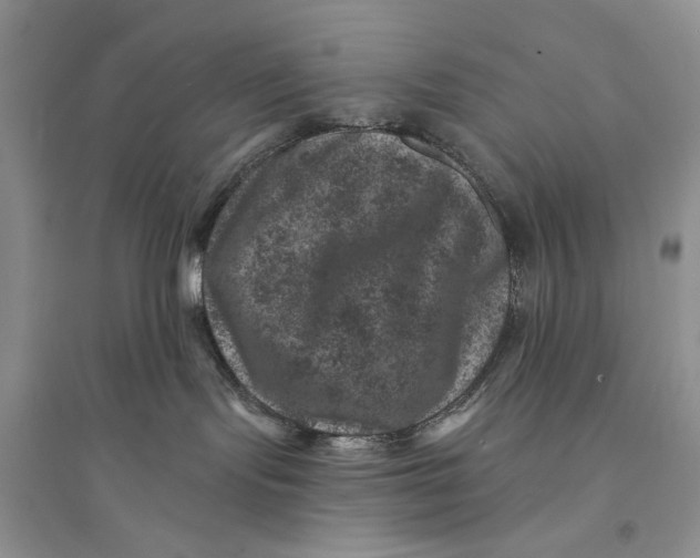 X0000094440095200711291646