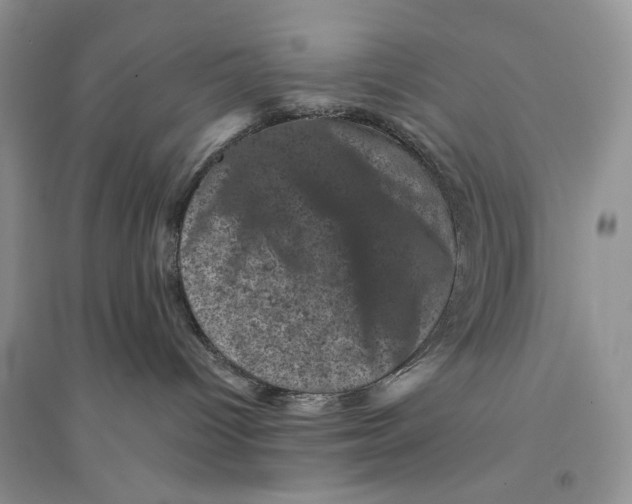 X0000094440096200711291646