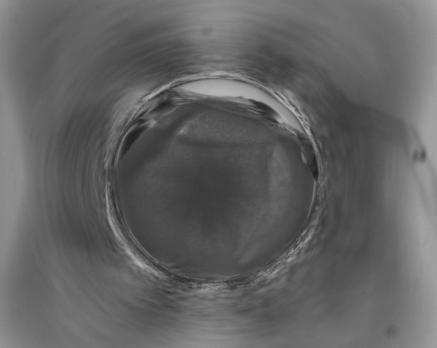 X0000094440097200711291646