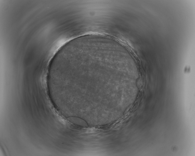 X0000094440098200711291645