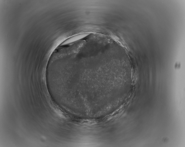 X0000094440099200711291645