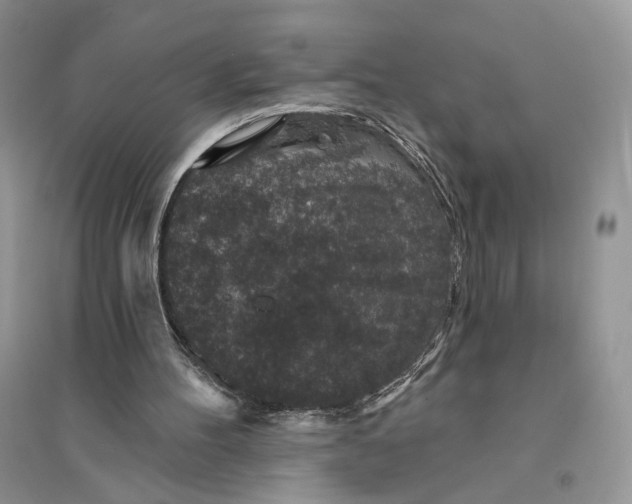 X0000094440100200711291645