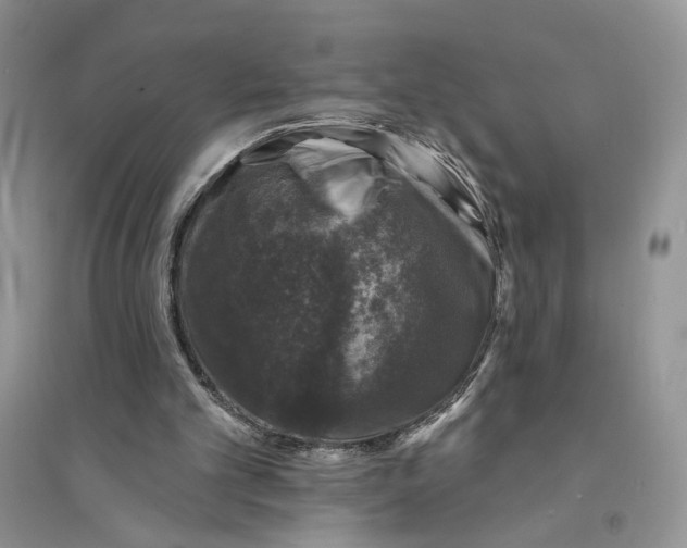 X0000094440101200711291645