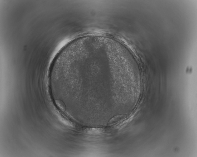 X0000094440102200711291645