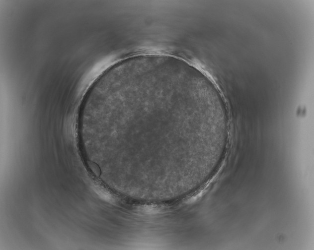 X0000094440103200711291645