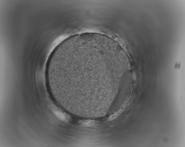 X0000094440104200711291645