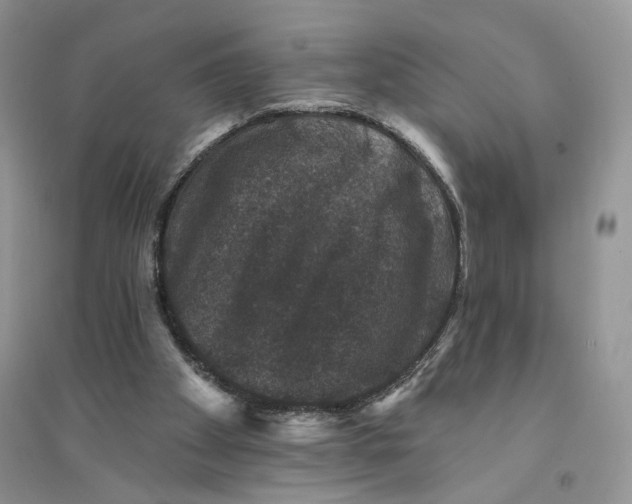 X0000094440105200711291645