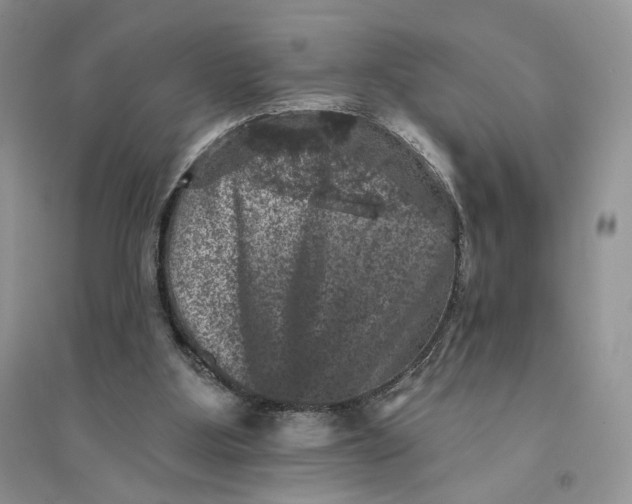 X0000094440107200711291645