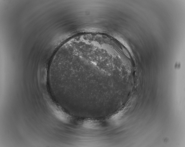 X0000094440109200711291645