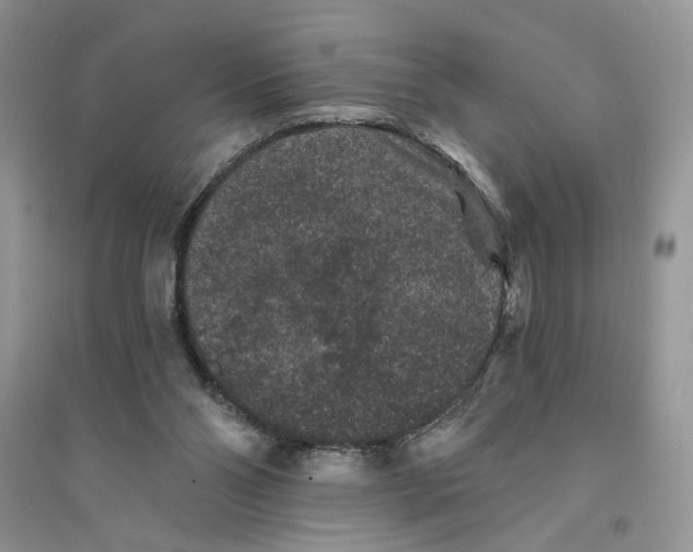 X0000094440110200711291645