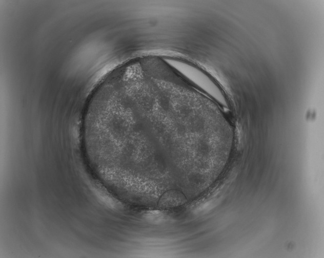 X0000094440111200711291645