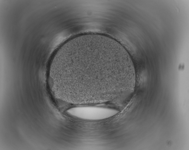 X0000094440112200711291645