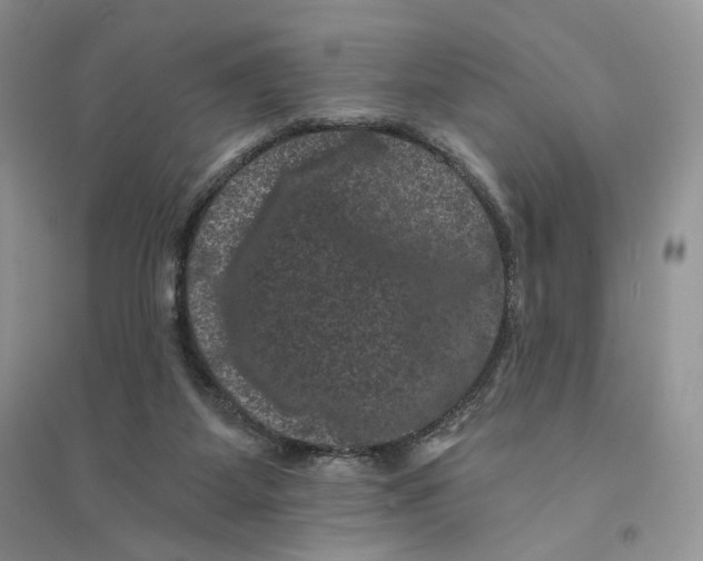 X0000094440115200711291645