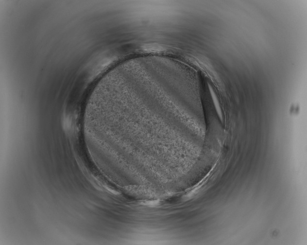 X0000094440116200711291645