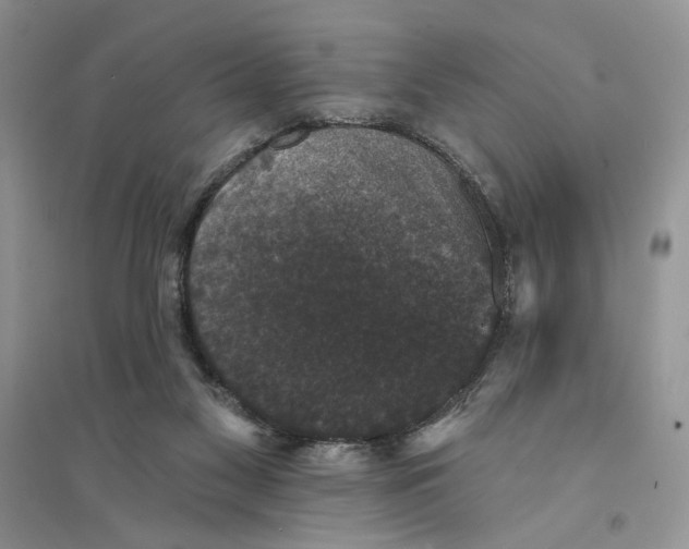 X0000094440117200711291645