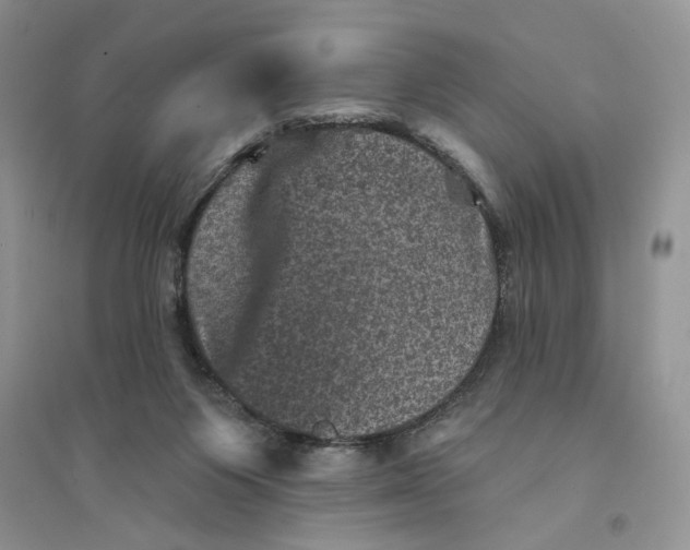 X0000094440119200711291645