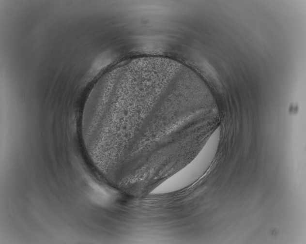 X0000094440120200711291645