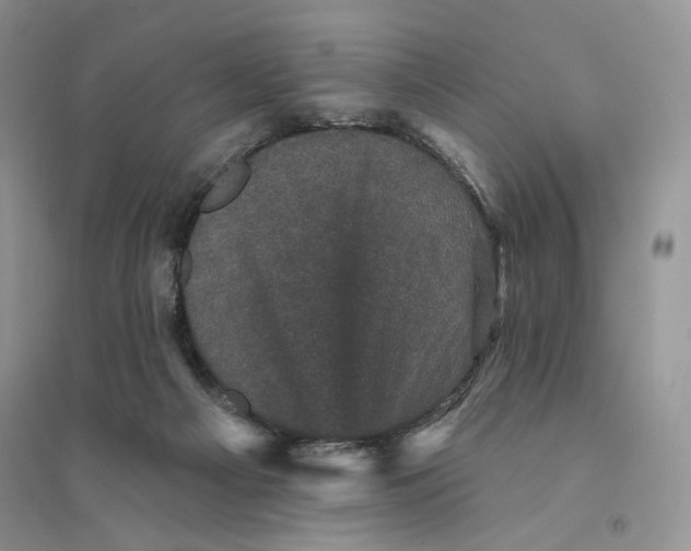 X0000094440121200711291645