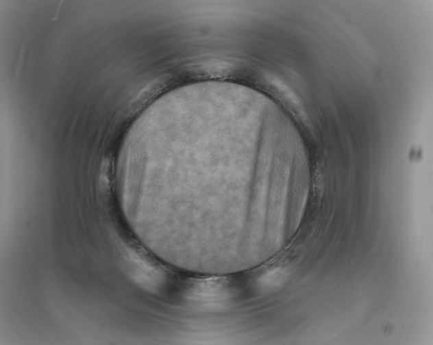 X0000094440122200711291645