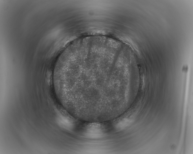 X0000094440123200711291645