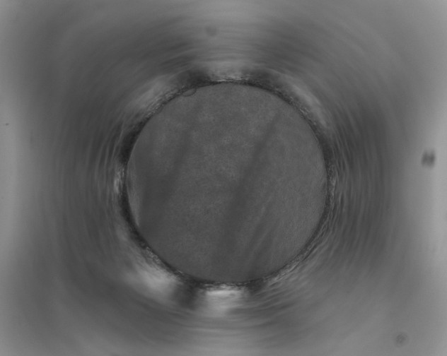 X0000094440125200711291645