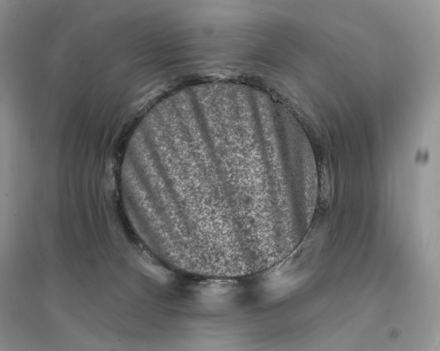 X0000094440128200711291645