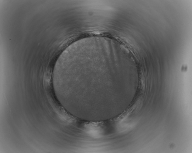 X0000094440129200711291645