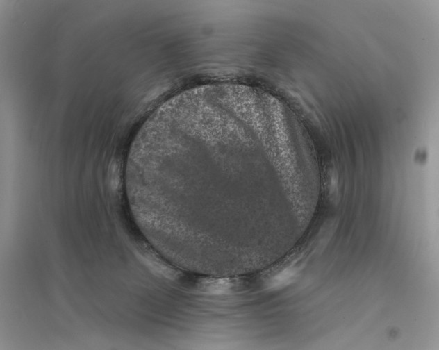 X0000094440131200711291645