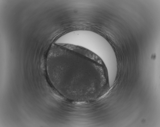 X0000094440132200711291645