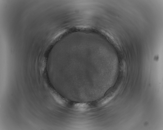 X0000094440133200711291645