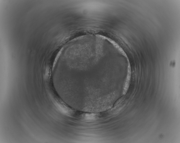 X0000094440134200711291645