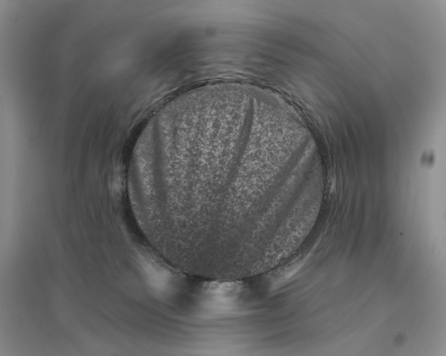 X0000094440135200711291645