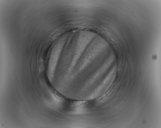 X0000094440136200711291645