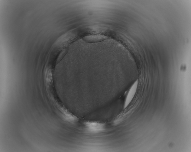 X0000094440137200711291645