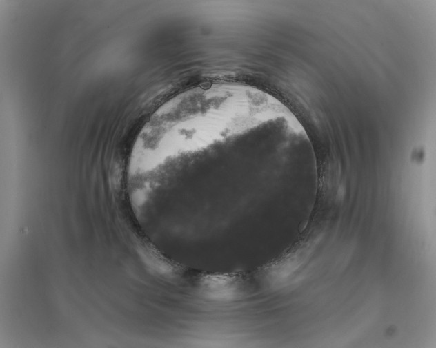 X0000094440139200711291645