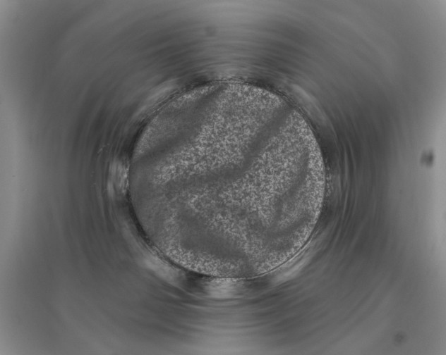 X0000094440142200711291645