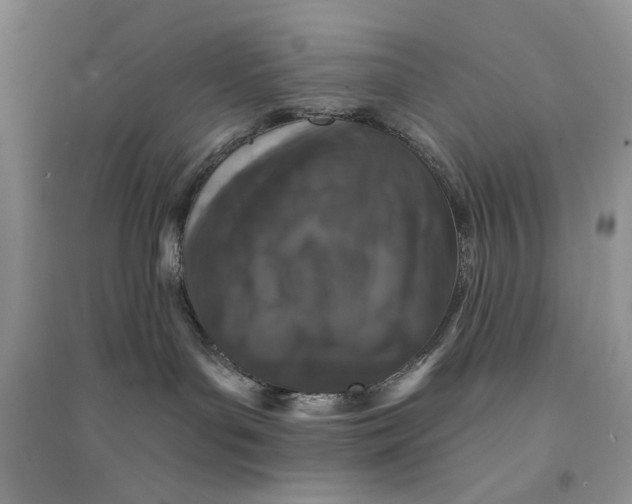 X0000094440143200711291645