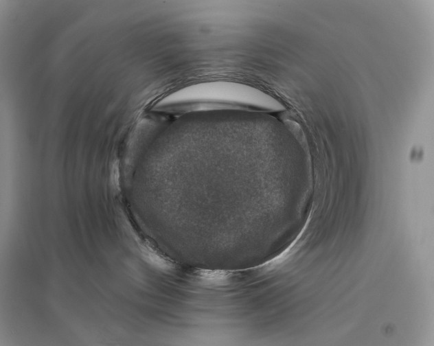 X0000094440144200711291645