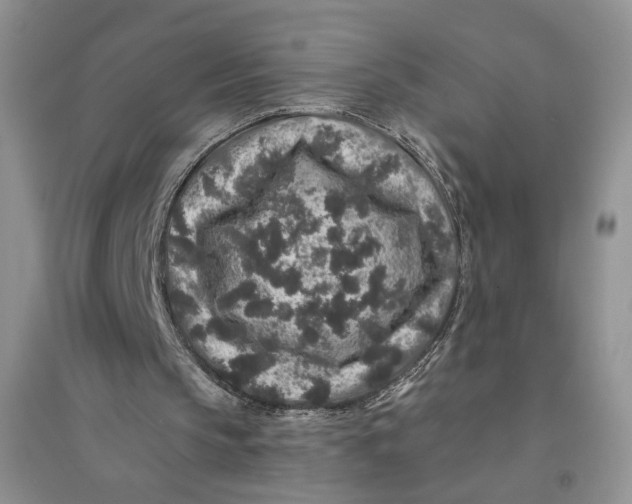 X0000094440145200711291644