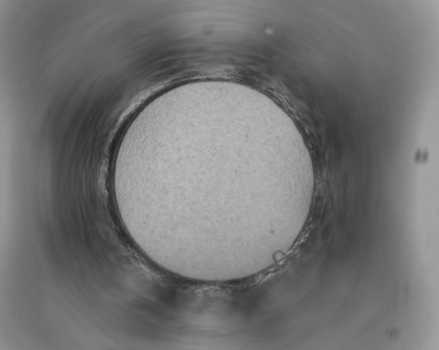 X0000094440146200711291644