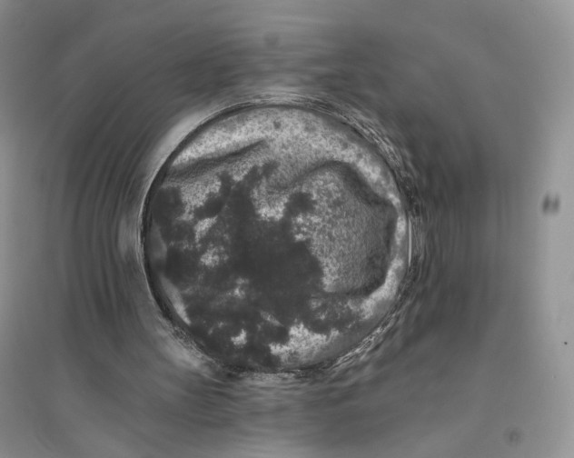 X0000094440147200711291644