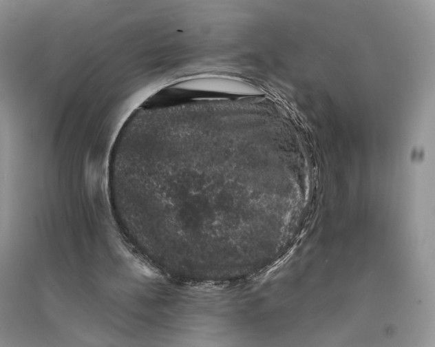 X0000094440148200711291644