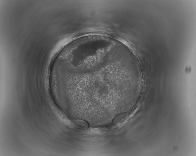 X0000094440149200711291644