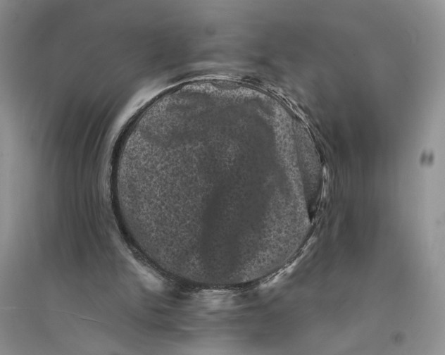 X0000094440150200711291644