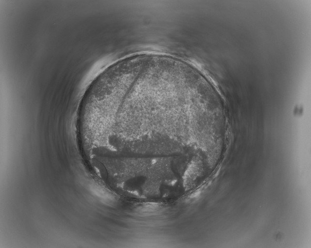 X0000094440151200711291644